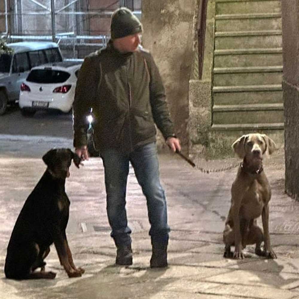 pensione per cani